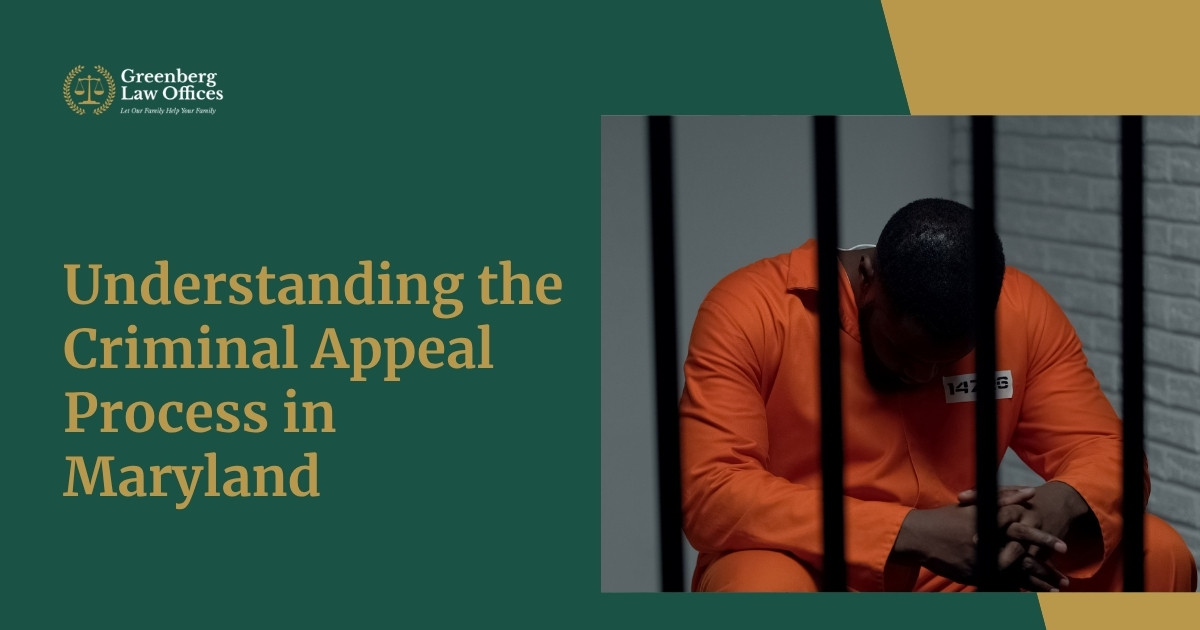 Understanding the Criminal Appeal Process in Maryland